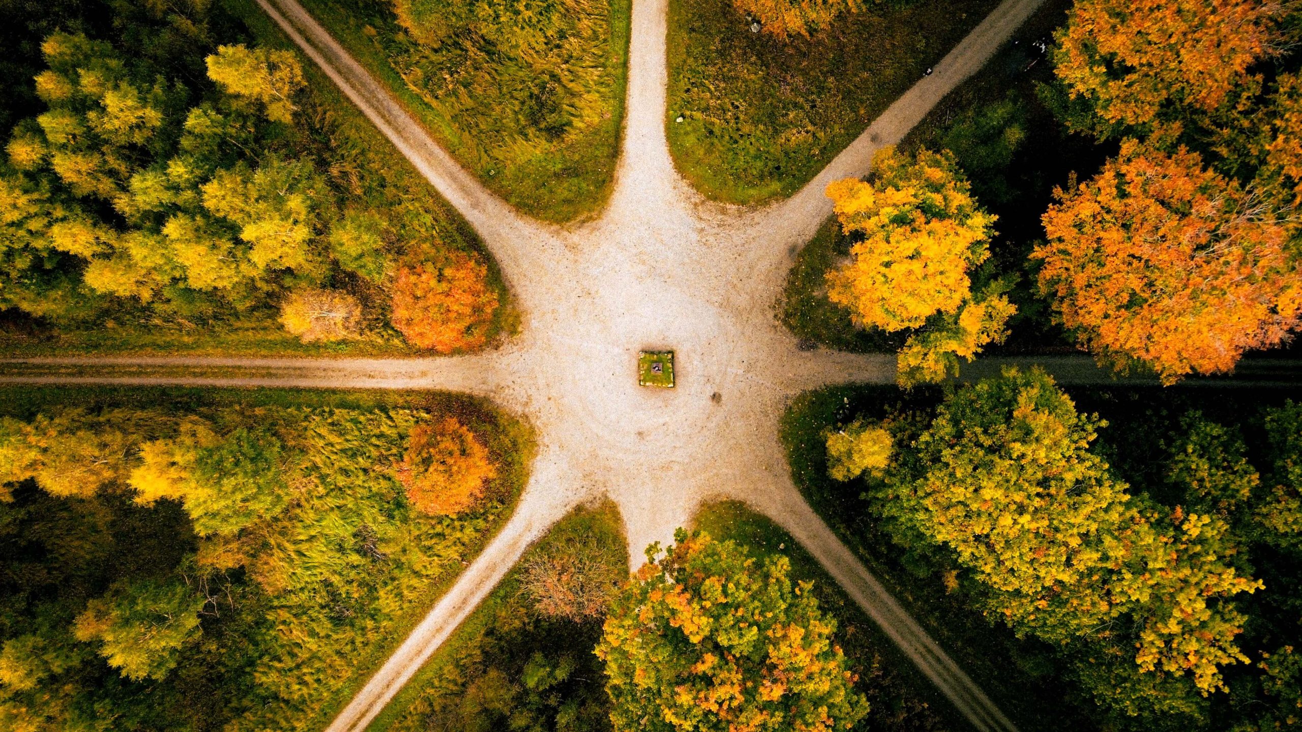 What Should Brands Prioritize in Influencer Marketing in Q3 2026?